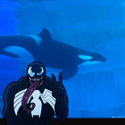 Pussies Out For Tilikum!