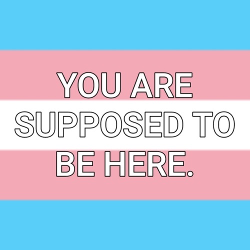 quinintheclouds: quinintheclouds: genderqueerpositivity: (Image description: the rainbow, trans, les