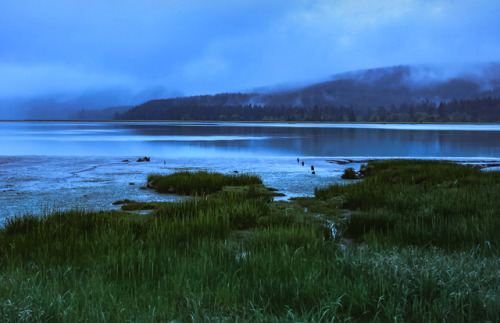 Washington coast by bob