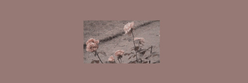 (random Color Theme Headers) Like Or Reblog If You Save. 