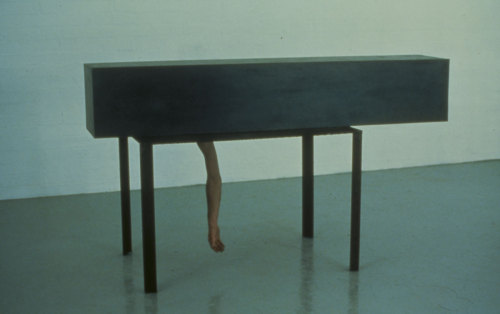poeticasvisuais:  Charles Ray 