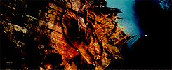 goldblums:  An Unexpected Journey &amp; The Desolation of Smaug + visually beautiful