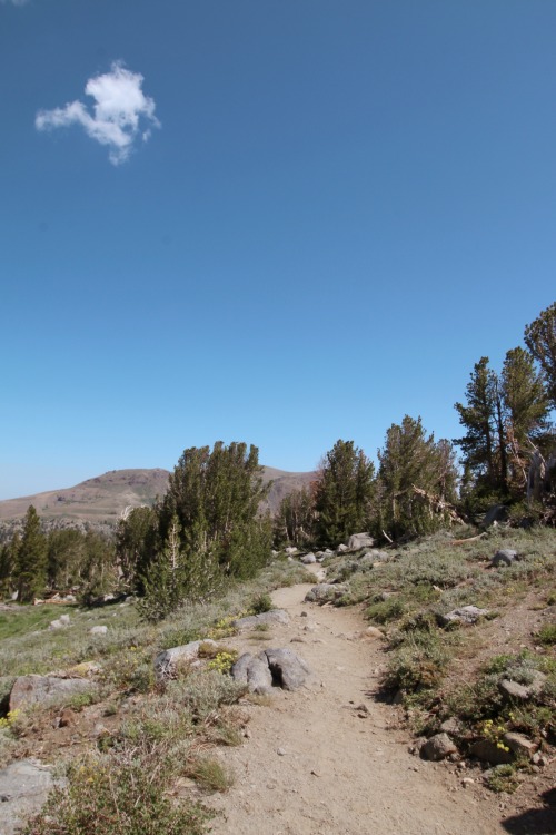 Frog Lake and Lake Winnemucca Lake are located off of Highway 88 in Alpine County. And for alpine la