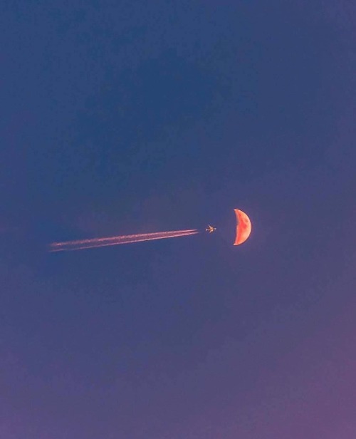 fred-erick-frankenstein:rulingplanetvenus: [ID: Two pictures of planes in the sky while the moon is 