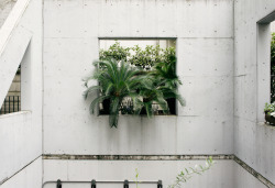 ukawadi:concrete green