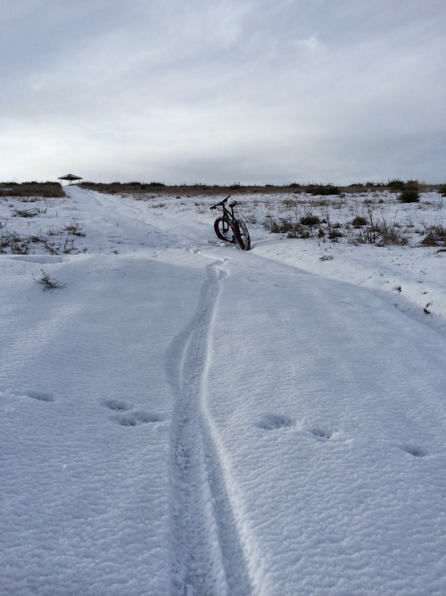 First ride on the Borealis Yampa in the Snow. 