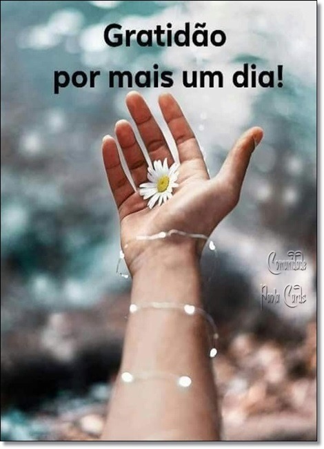 a59281d328e2c74ba724dcf17d39de91705a3c64