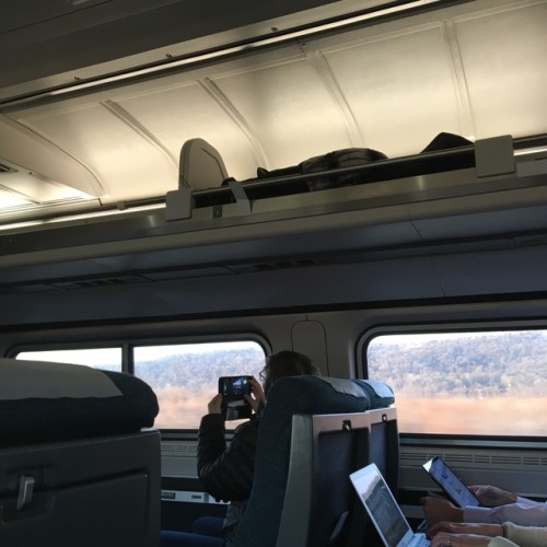 4bts:pics from my train ride to Boston