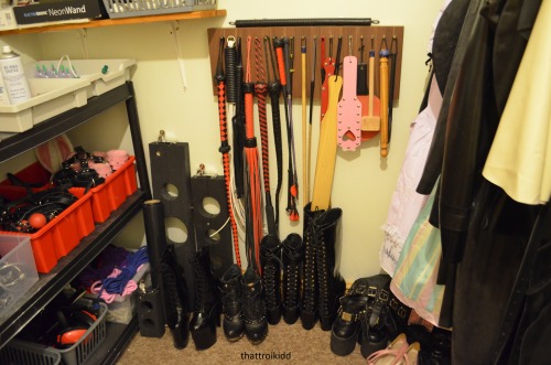 thattroikidd:  So some people say the sexiest thing about the collection is its organisation :D But yeah this is now where everything lives! Including a few things from izzellia, jumblejumble-, cassiecorpse  