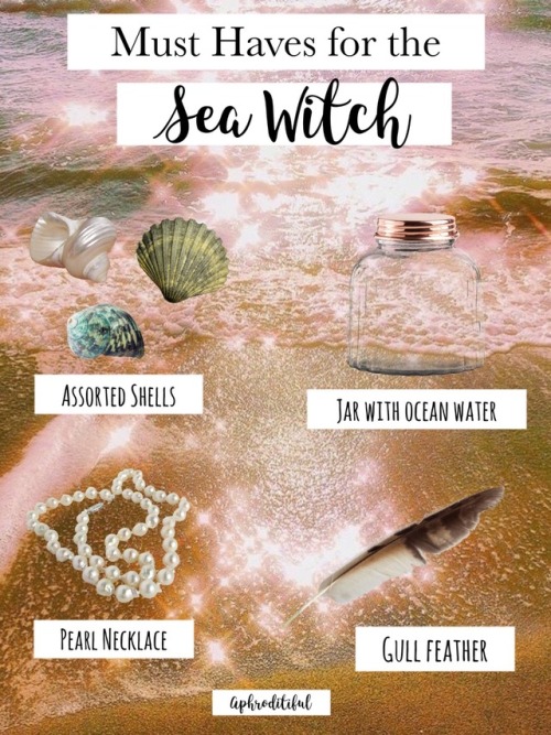 aphroditiful:  MUST HAVES FOR THE SEA WITCH   assorted shells, whole and powdered  jars with ocean w