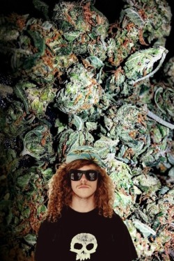 Into A Stoner's Mind!