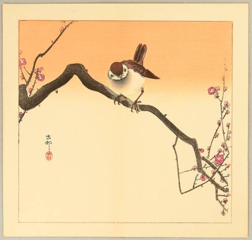 variousnews-blog:Sparrow on Plum Branch, by Ohara Koson, ca. 1910scutt.ly/9HZdaKz