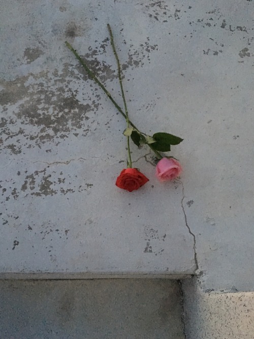 5oon2:nothing on you