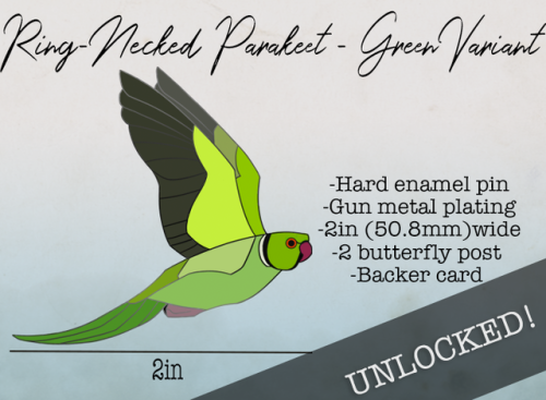 Another bird unlocked! Early discount tiers still available!Go check out the Kickstarter now that it