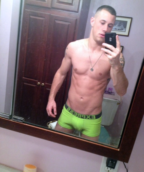 PigBear