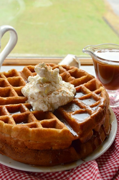 ransnacked:apple butter waffles with cinnamon maple syrup | sugar dish me