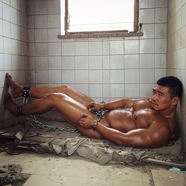 MUSCLE CORPS