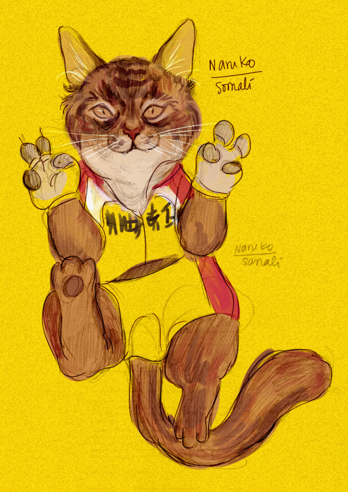 khajidont:  groovy-tiger:     OKAY OKAY OKAY! THIS IS KENZIE’S (VERY MUCH LATE) BIRTHDAY PRESENT!!!  I drew her some yowa-kitties based on her idea (///v///) you can see them here! I looked up cat types that looked similar to the characters ;v; 