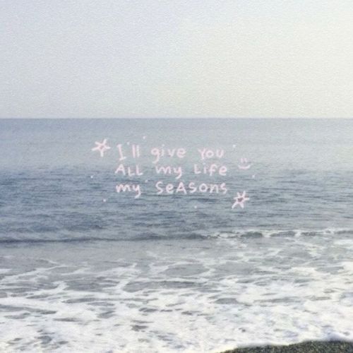 @chaeryeos
