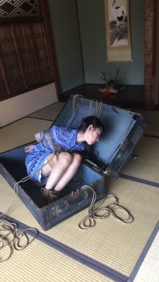 japanesebdsmofficial:  Shibari Kinoko HajimeModel