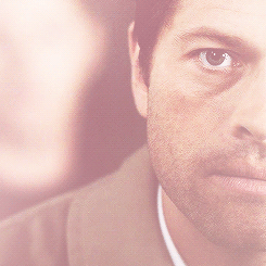 SUPERNATURAL MEMEfour otps › one: dean/castiel