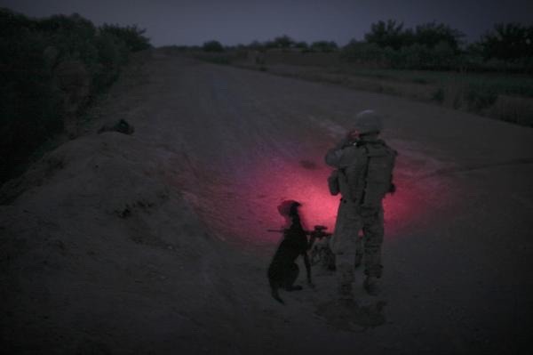 majorleagueinfidel:  War Dogs serving in Afghanistan – 2007-2012. 