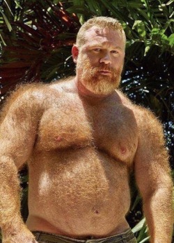 thickbear475: chubybear:    HAIRY~! 