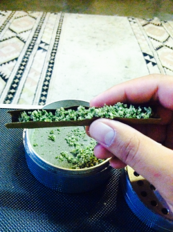 smokedopewiththepope:  Rollin up a fatty