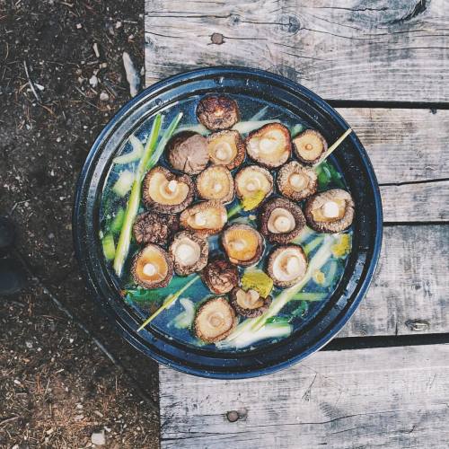 campbrandgoods:  Just a casual campfire udon. Oh you a fancy chef @big_pickle. #campbrandgoods #campbrandgrub