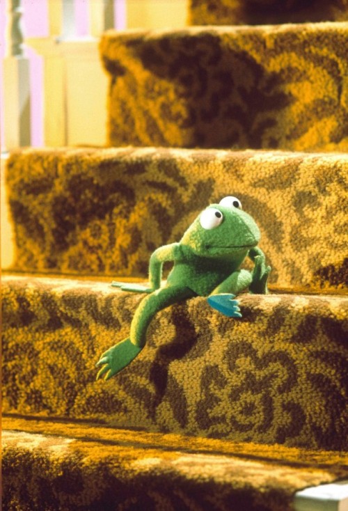 themuppetmasterencyclopedia - Robin Frog during his song halfway...