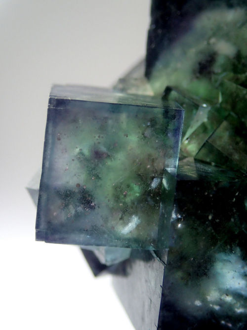 bijoux-et-mineraux:Phantom Fluorite - Okorusu mine, Namibia