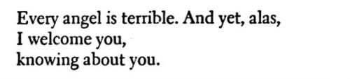 Holy Things In This World, Emery Allen // Tonight I'm Someone Else: Essays, Chelsea Hodson // The Last