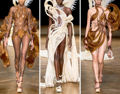 evermore-fashion:  Iris van Herpen ‘Meta Morphism’ Fall 2022 Haute Couture Collection