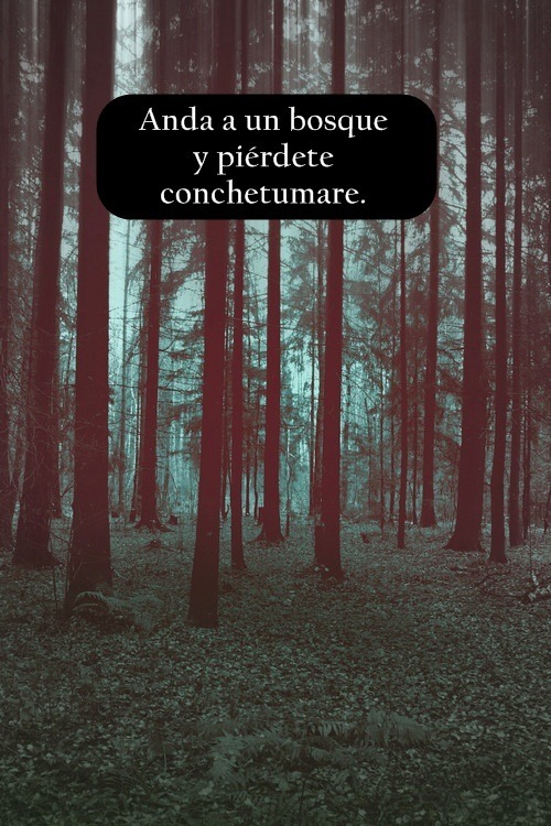 Pierdeteeeeeeeeeeeeeeeeeeee en We Heart It. http://weheartit.com/entry/74937021/via/Oreomacu