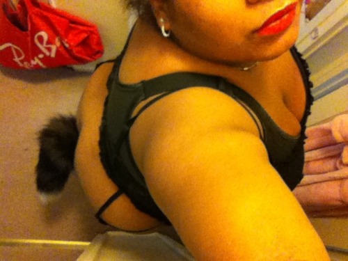 honeydewhearts:  🎀Tail 🎀