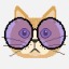 catwithpurpleglasses