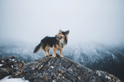 little-fox-adventures:Chilly hike