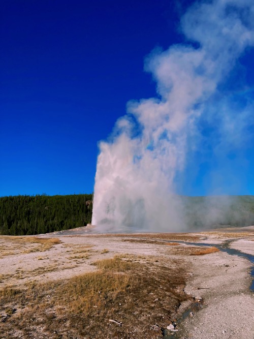 And just like that my season working here in Yellowstone is almost over. Who would have thought that