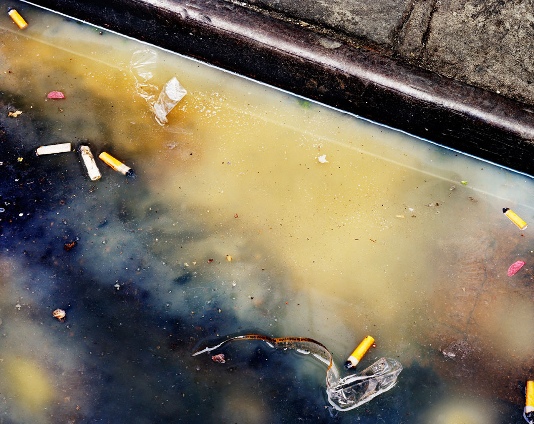 jennilee:  I could look through Jason Nocito’s porfolio for days. New section: