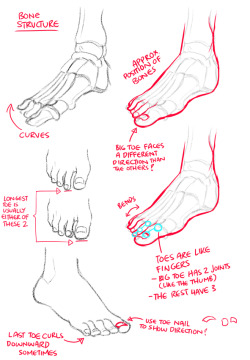 kurisu004:  How to draw feet  