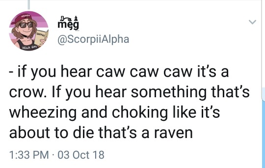 blonddnamedhandz:  crewdlydrawn:  rainbowattack:  <Twitter thread>   If you’re in the northeast US and a flock of black birds have taken over your yard / tree but you DON’T hear cacaphonous cackling, then they’re starlings, and they’re probably