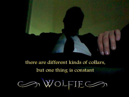 sirtrouble43:  For her to wear a collar, is a desire she has… It is more than a thing around your neck… Its the love he has for her… It comes with the trust she has in him.. Her Submission is perfect… Your Submission is perfect …. Sir Trouble