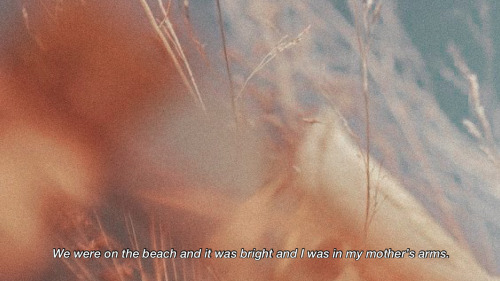 excelsiorparrish: Nina LaCour — We Are Okay (2017)It’s all I remember, and it’s everything.
