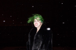 terrysdiary:  Lady Gaga in the snow #1 