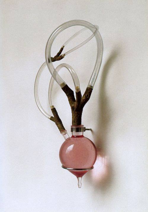 mybeingthere:Liz Bachhuber - Heart, 2005.