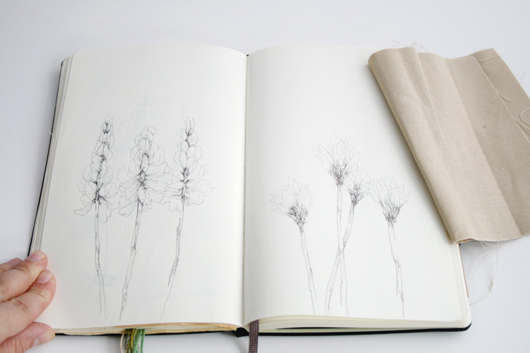 white-raindrops:  (by the blue rabbit house) 