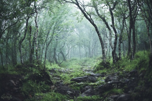 onodrim-photographie: Sur les traces de Crom Cruach … Onodrim Photography - www.faceb