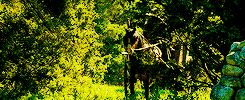 terpsichorv:There are others forces at work in this world, Frodo, besides the will of evil.
