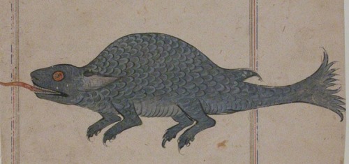 A mythical lizard I think is called طُنوت “Tunnoot,” from a Persian bestiary and herbal produced in 