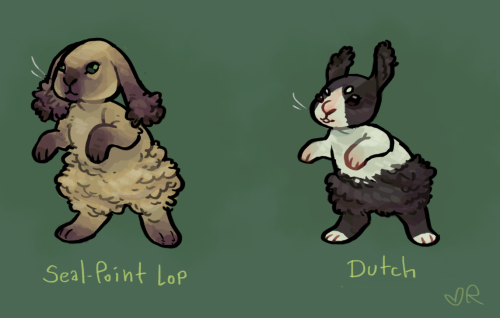 roachpatrol: I love Pokemon variations! So I went nuts on breeds of Buneary. 